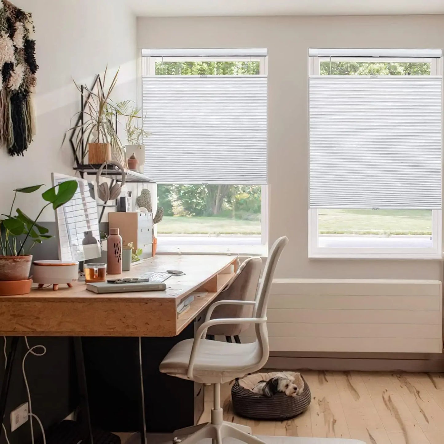 XMSJ Cordless Top Down Bottom Up Cellular Shades Blackout