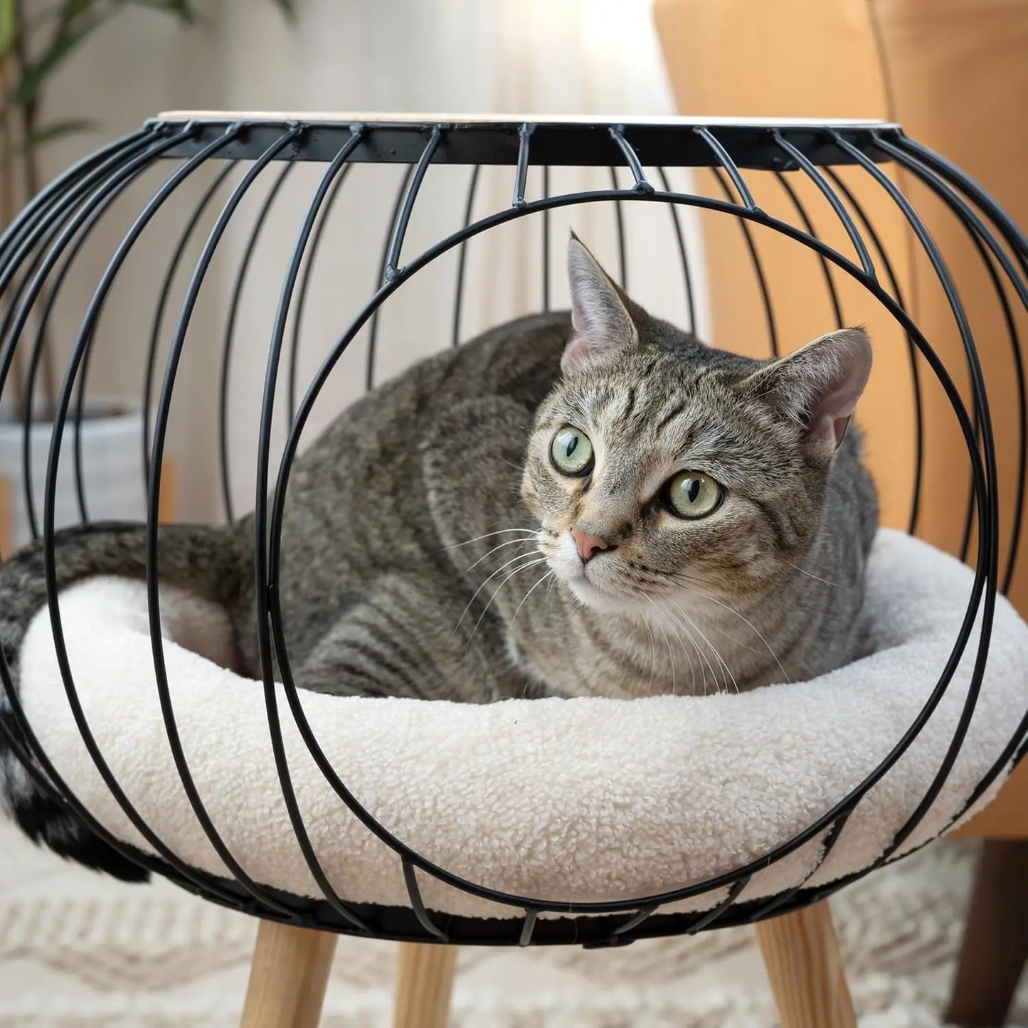 Hign-concerned Modern Cat Bed And Wooden Table Furniture
