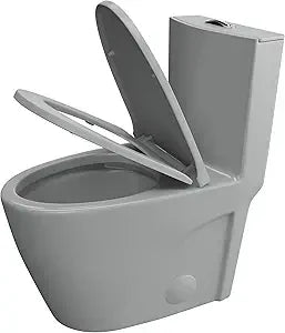 Elongated One Piece Toilet Dual Flush 1.1 To 1.6 GPF
