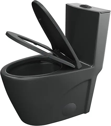 Elongated One Piece Toilet Dual Flush 1.1 To 1.6 GPF
