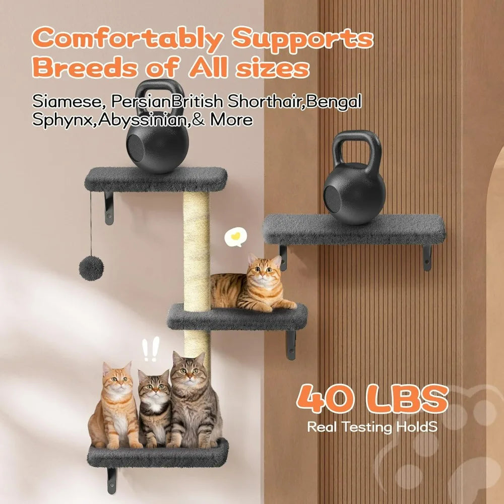 Hign Concerned Cat Wall Shelves Wooden Climber Plus