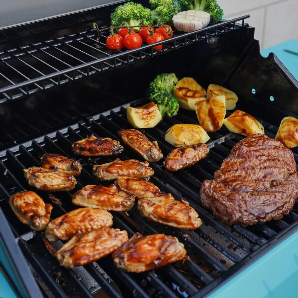 Mesa 2 Burner Gas Grill With Clearview Lid And Shelves