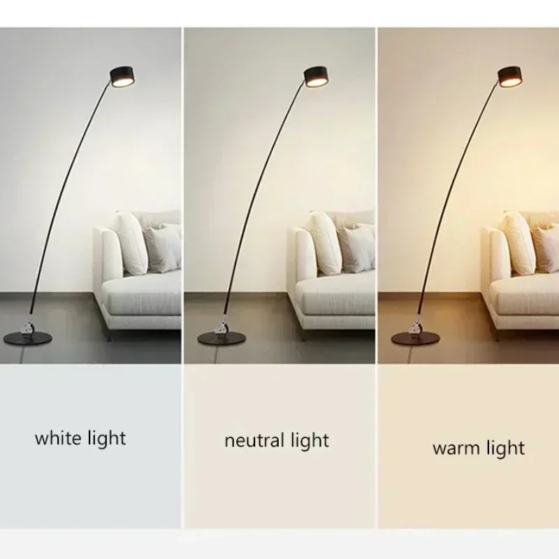 Minimalist Floor Lamp With Long Arm Led Light For Living