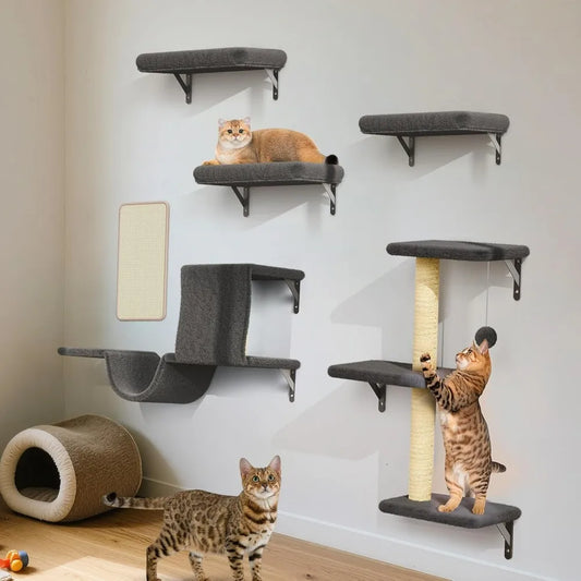 Hign Concerned Cat Wall Shelves Wooden Climber Plus