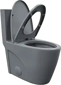 Elongated One Piece Toilet Dual Flush 1.1 To 1.6 GPF