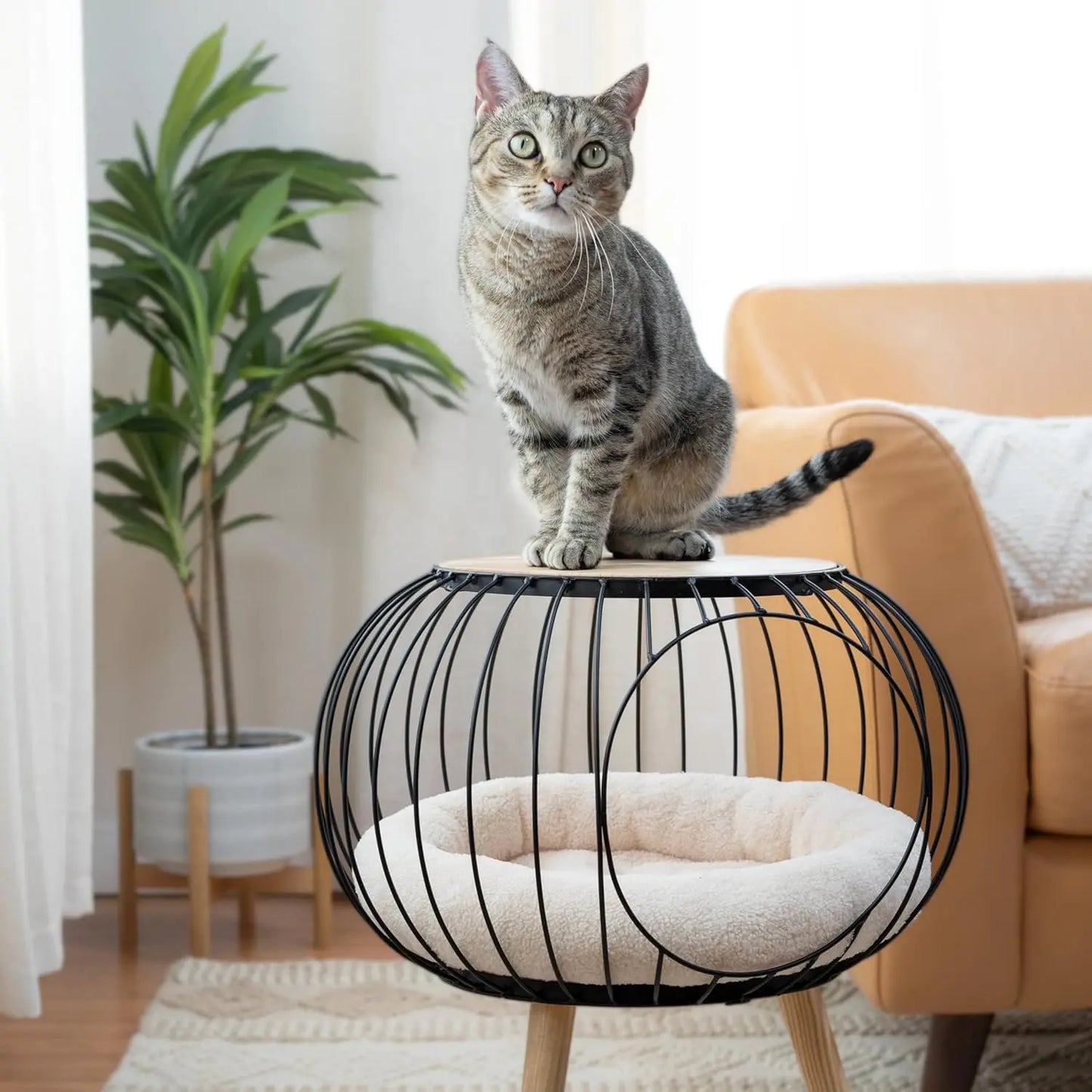 Hign-concerned Modern Cat Bed And Wooden Table Furniture