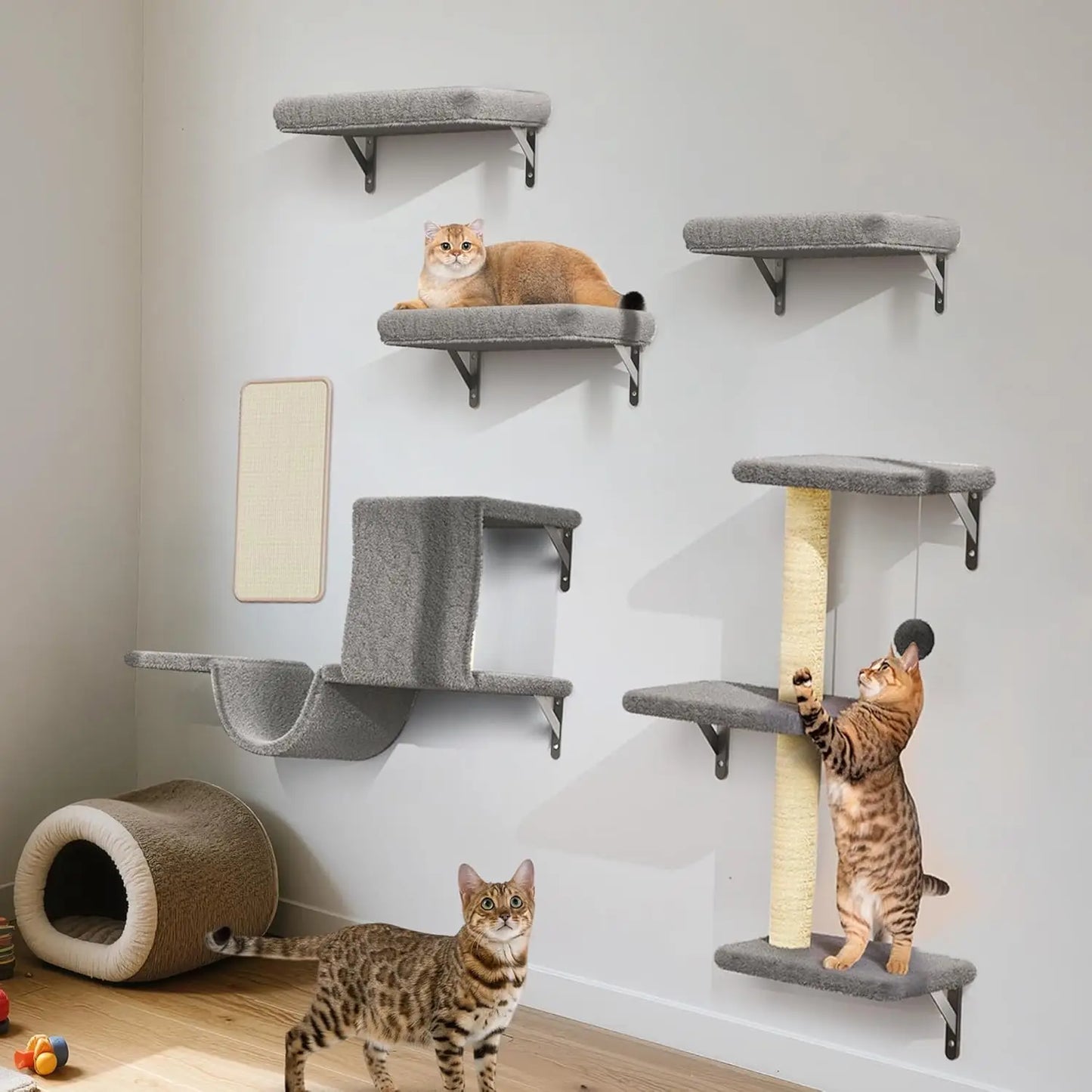 Hign Concerned Cat Wall Shelves Wooden Climber Plus